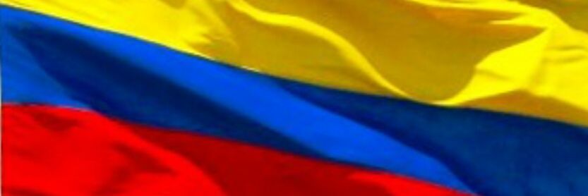 camilo5780's profile banner image