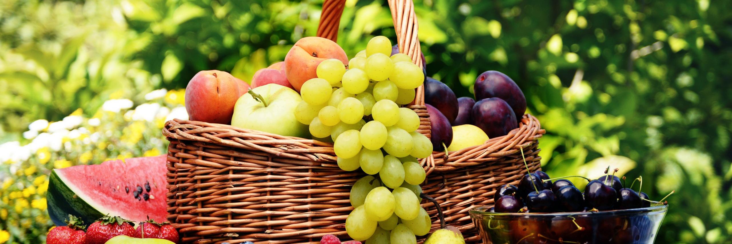 no_glo_aliments's profile banner image
