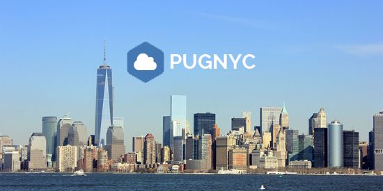pugnyc's profile banner image