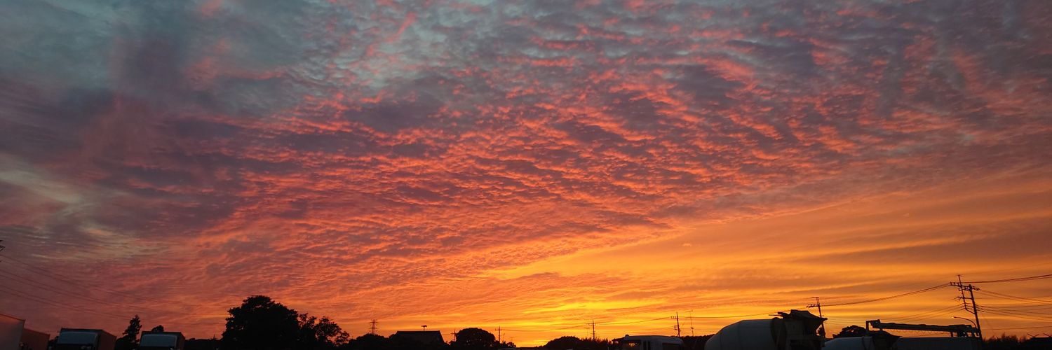 まいけるすりー🐨 banner