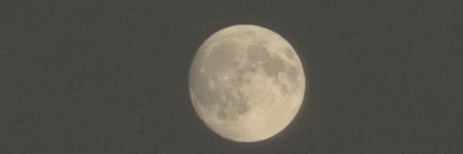 bronxdag's profile banner image
