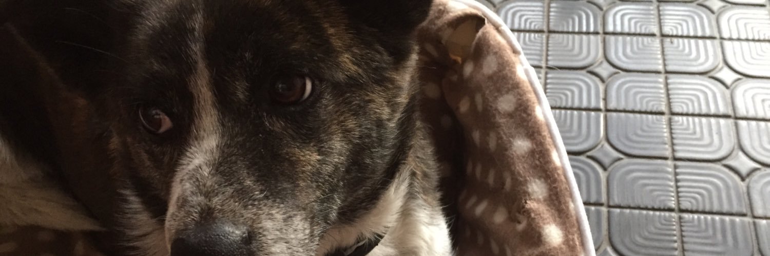 ふじ・しゅう banner