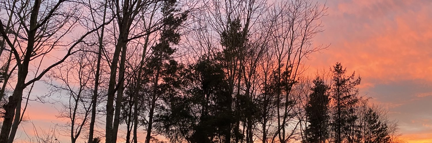 Hbebe18's profile banner image