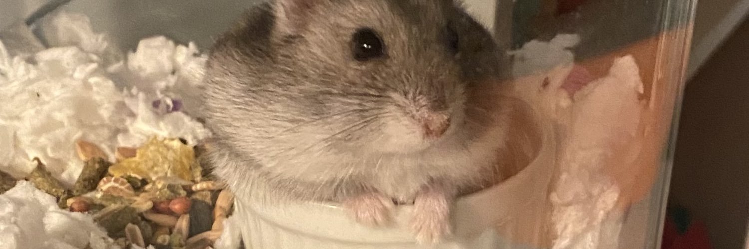 outtamyLANE's profile banner image