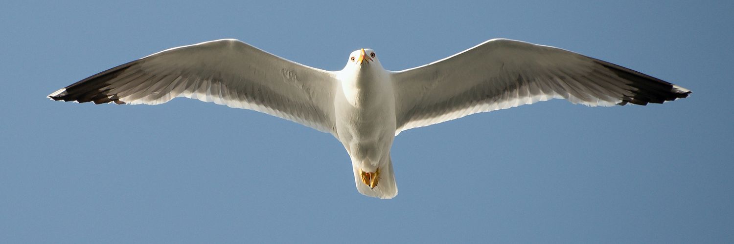 PrisonLobby's profile banner image