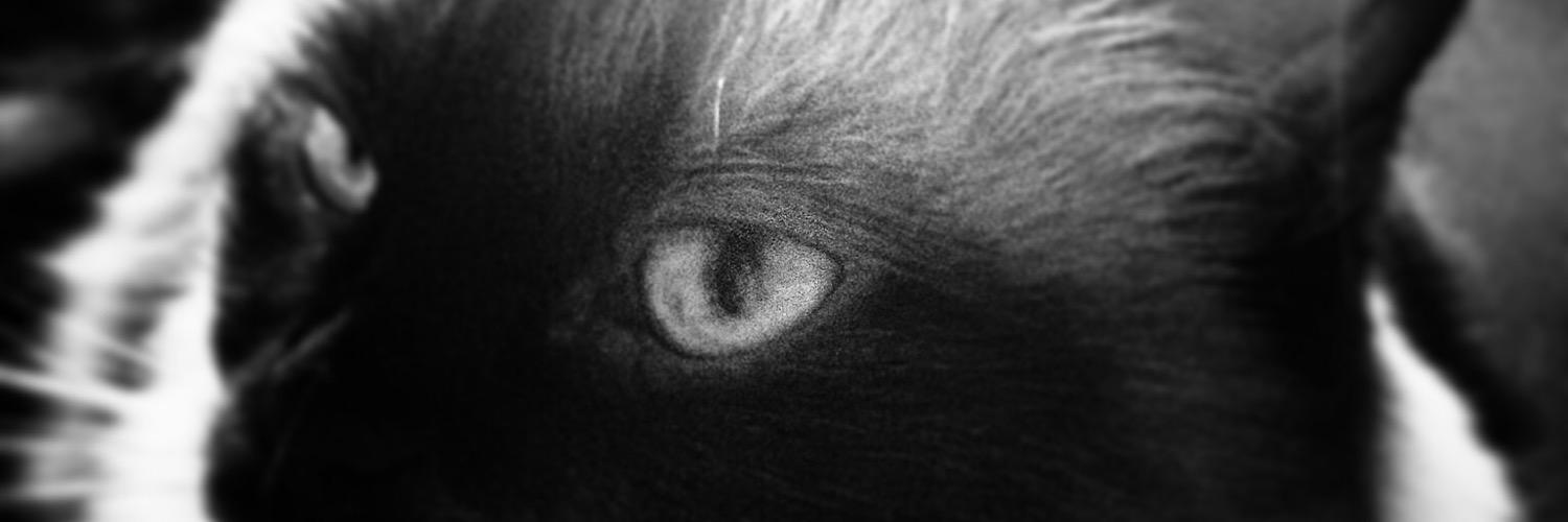 macusalamar's profile banner image
