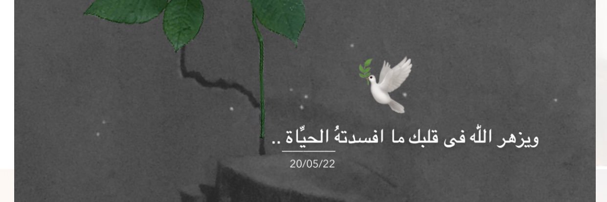 mem_437's profile banner image
