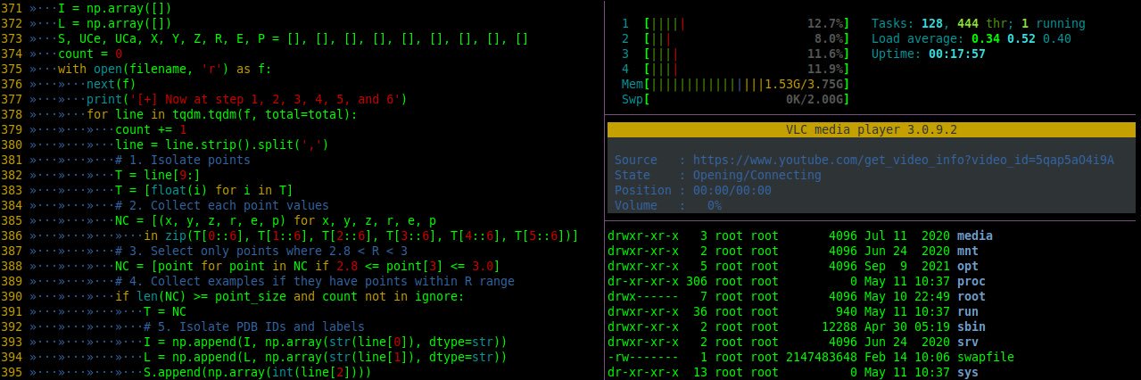 Sari S. Sabban banner