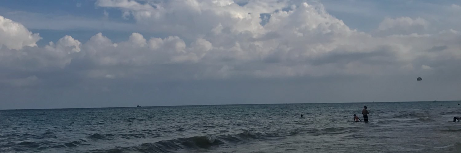 ZoeZim's profile banner image