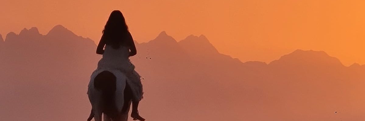 Seda Akkul banner