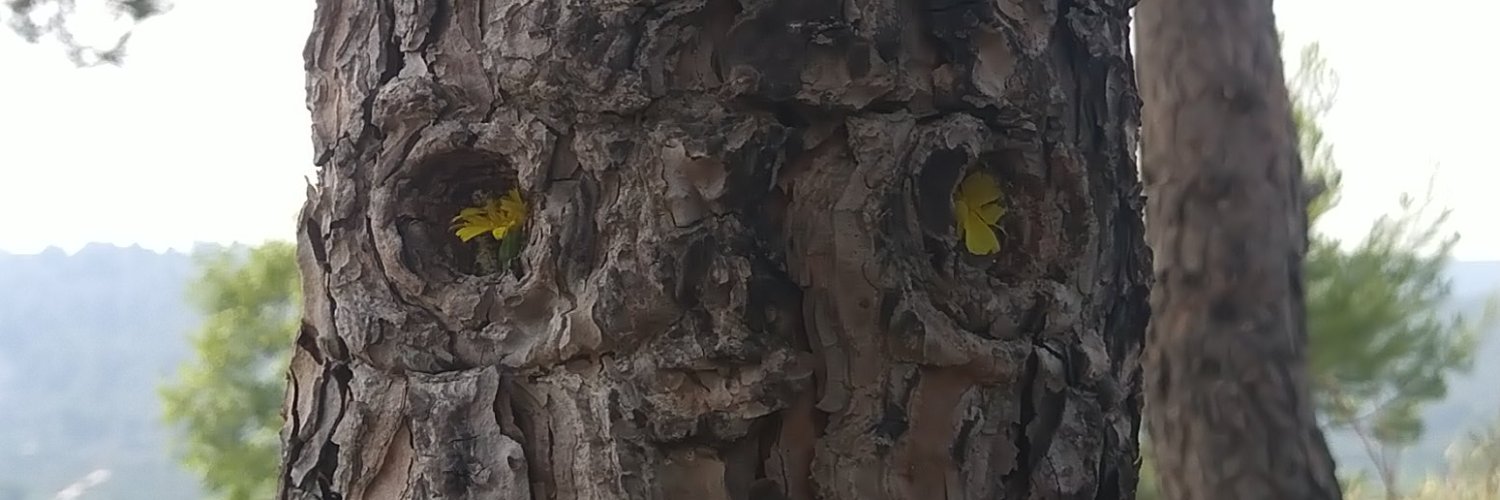 AdlerHolmes1's profile banner image