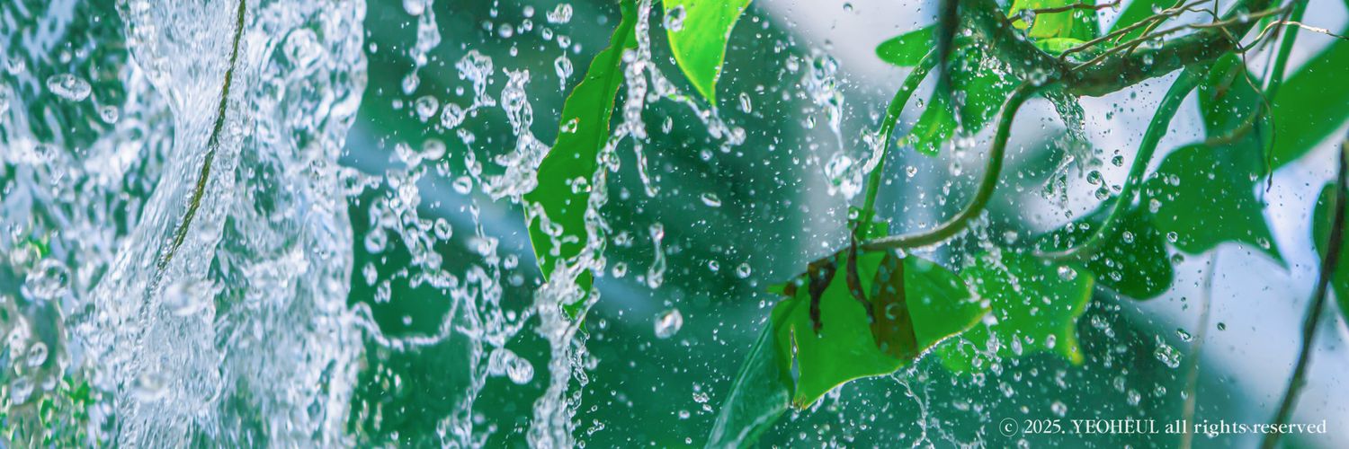 enlitz's profile banner image