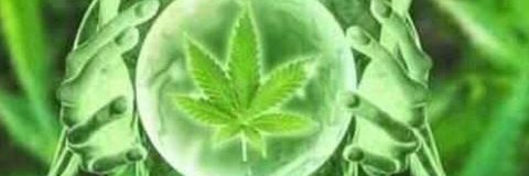 alien banner