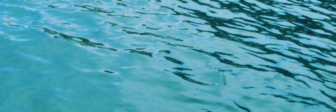 samaraesm's profile banner image