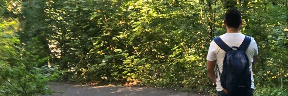 GuillermoDAC's profile banner image
