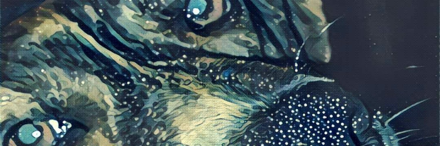 Katydid_Lync's profile banner image