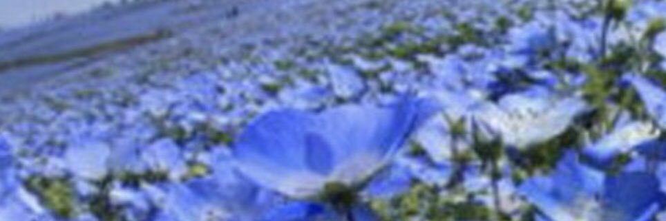 🧡💙🪐🚀🌏ひでちゃん🪐🚀🌏💙🧡 banner