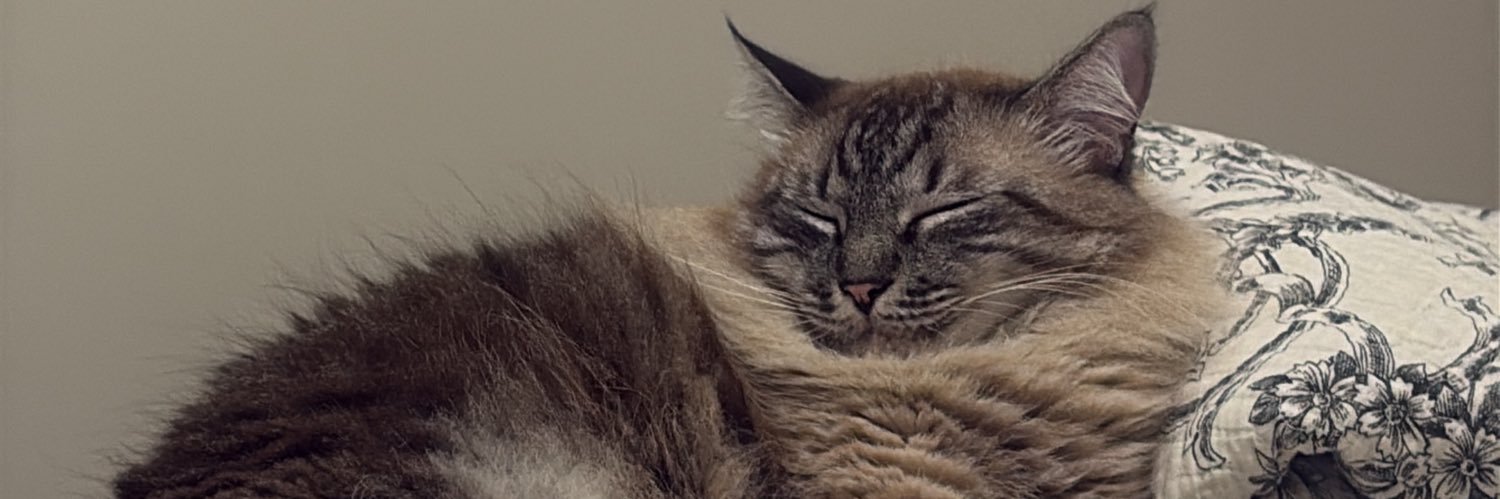 bbybrubs's profile banner image