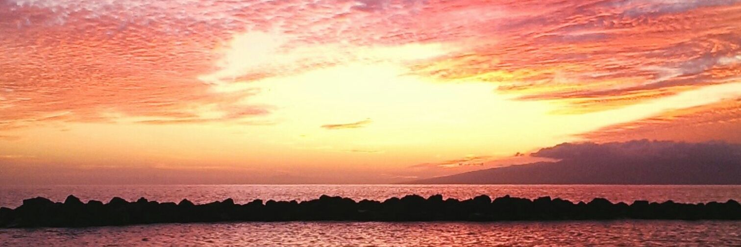 MeritxellAG's profile banner image