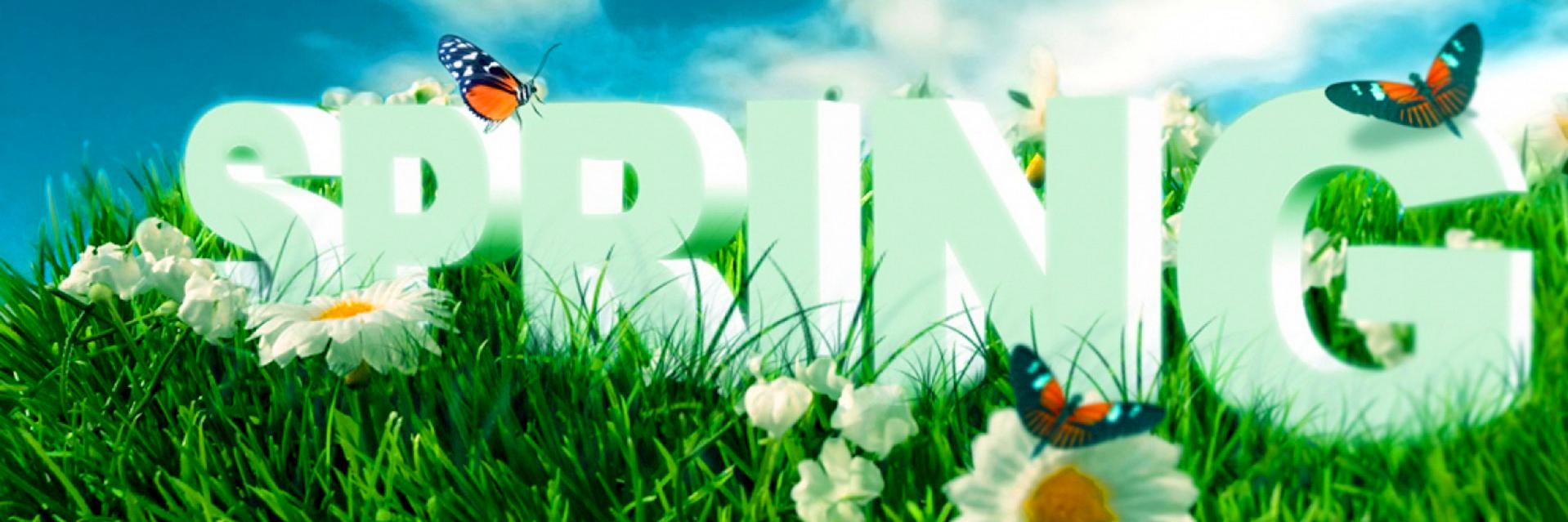 DianaHTanner's profile banner image