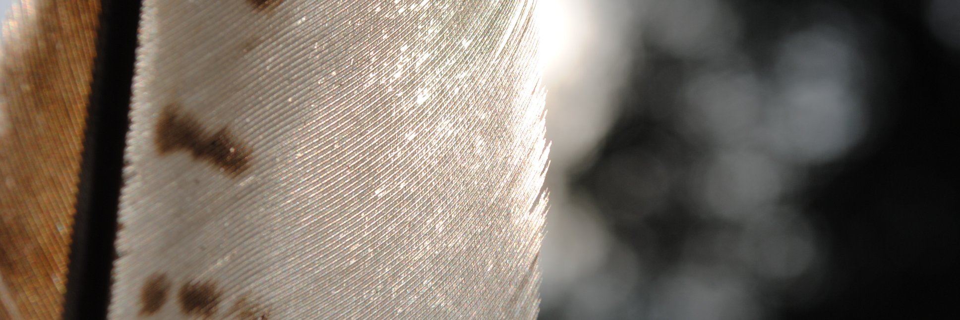 MabelMoralesTa's profile banner image