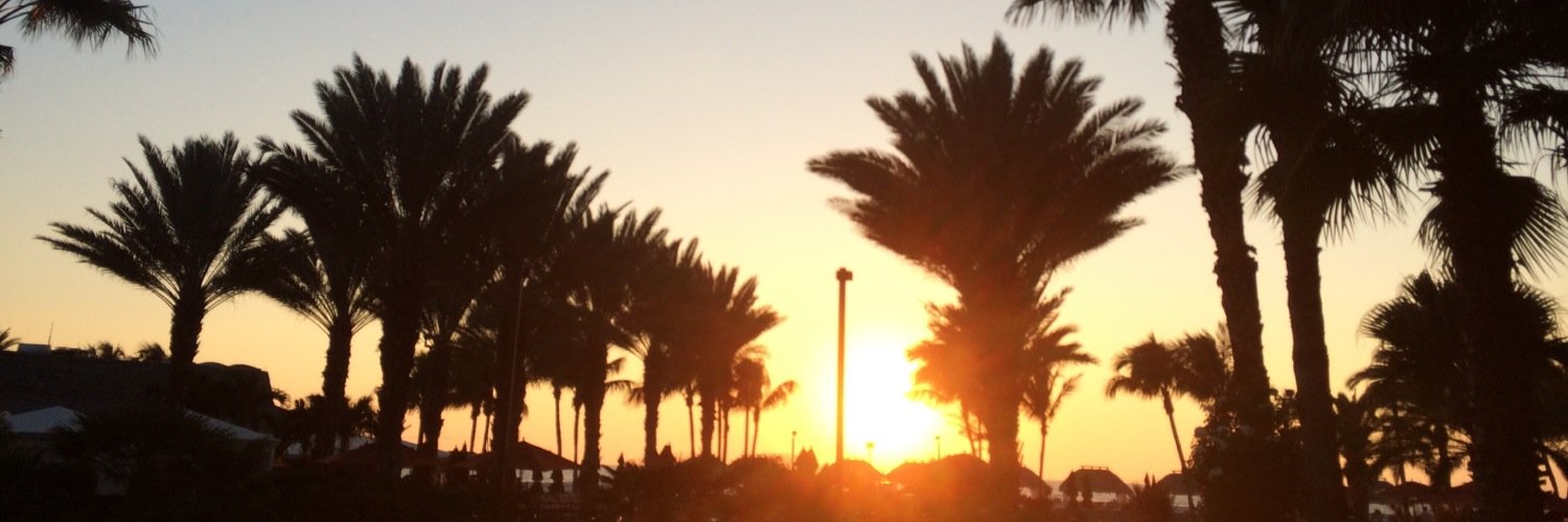 raugustine87's profile banner image