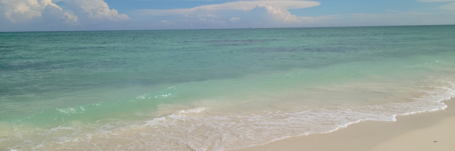 KimPojeta's profile banner image