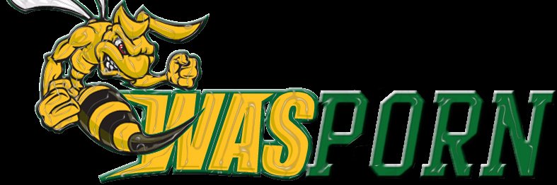 wasporn_com's profile banner image