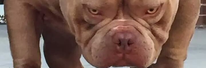 LleraSteve's profile banner image