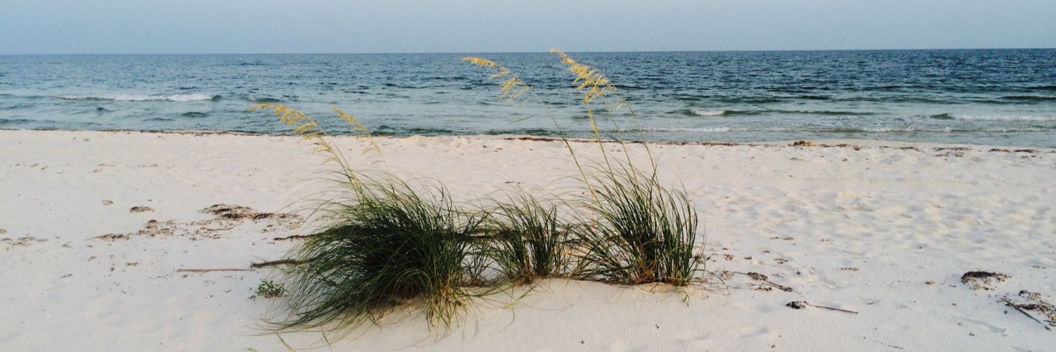 Rhonda Highfill banner