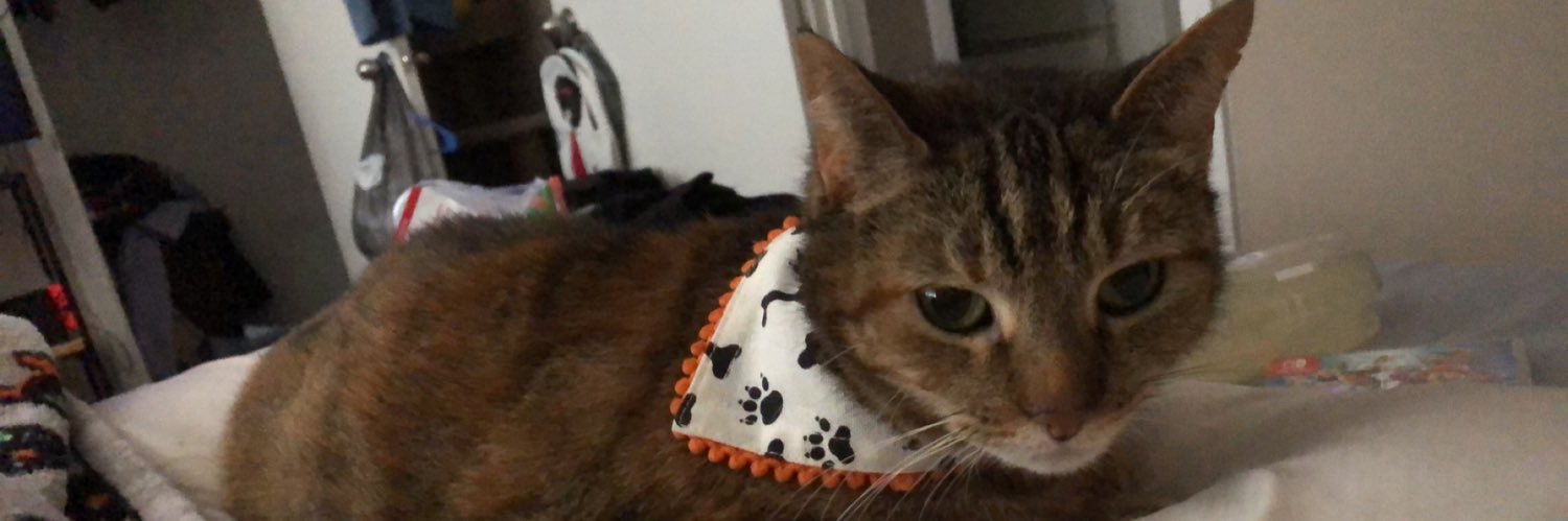 HappyAmputee's profile banner image