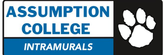 AC_Intramurals's profile banner image