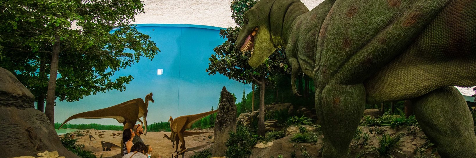 Sternberg Museum of Natural History banner