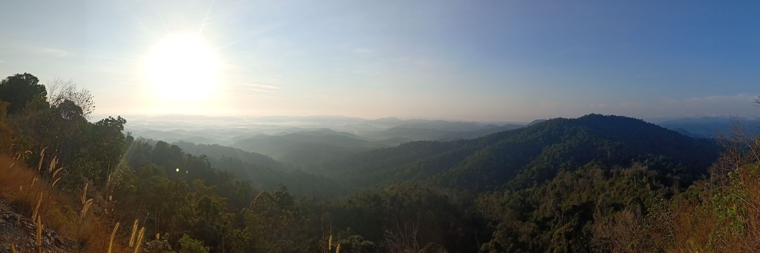 copperbrusthere's profile banner image