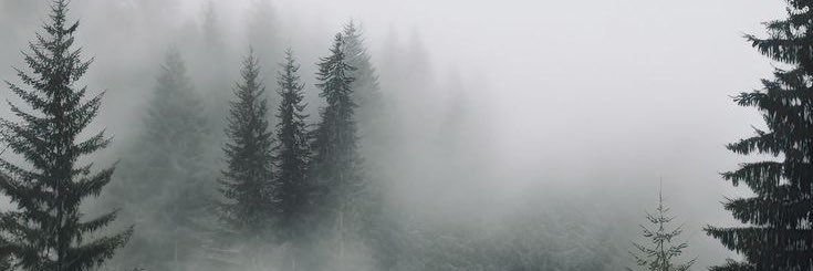 harrithrsmann's profile banner image