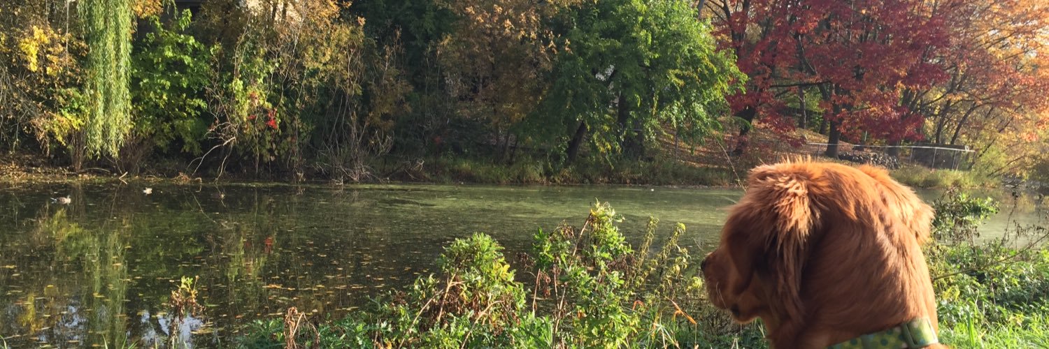 MollsB05's profile banner image