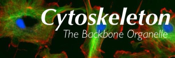 CytsAlright's profile banner image