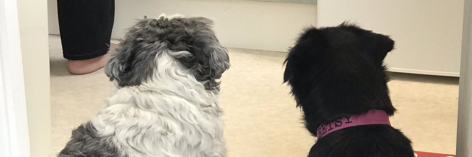 Baxter_85's profile banner image