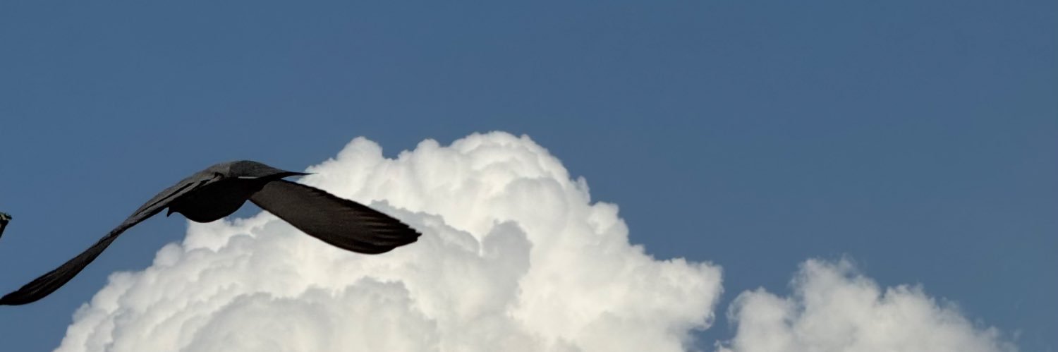 EmanAlArbeed's profile banner image