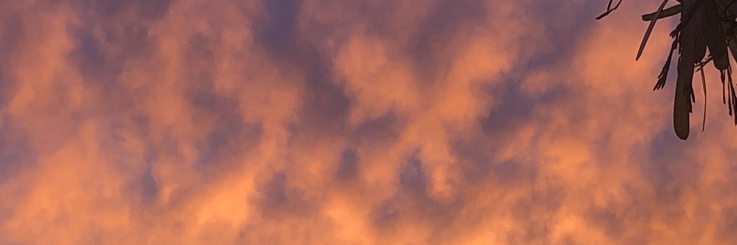 Toriannosaurus's profile banner image