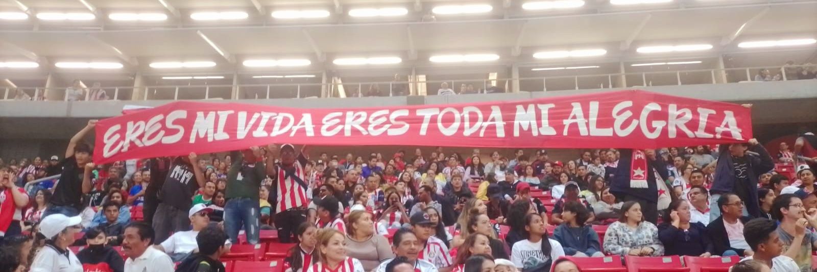 José Luis Álvarez banner