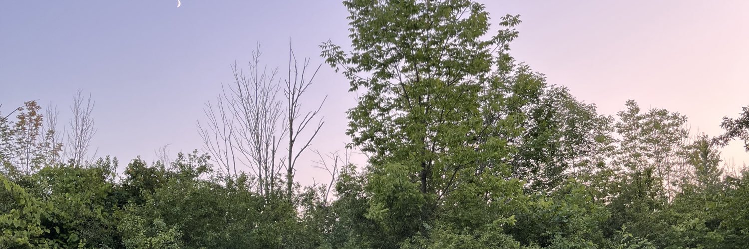 AlliRoseL's profile banner image