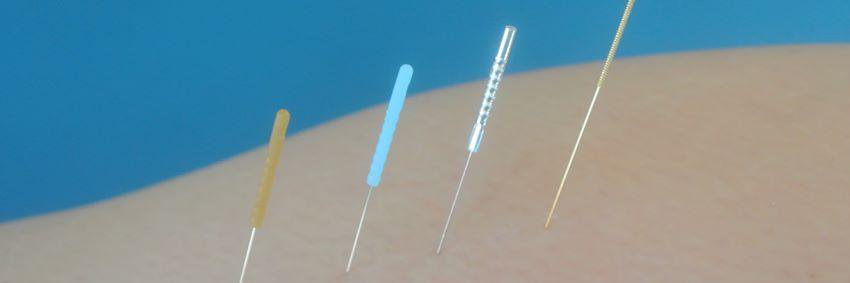 needlept's profile banner image