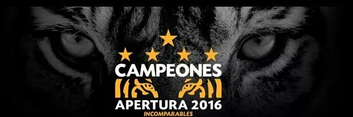 zapercan's profile banner image