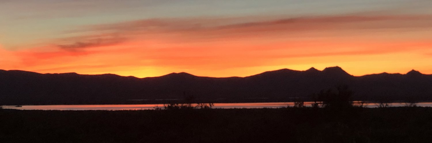 Fjaerilimagen's profile banner image