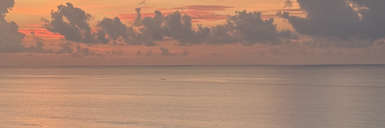 aadoreaaliyah's profile banner image