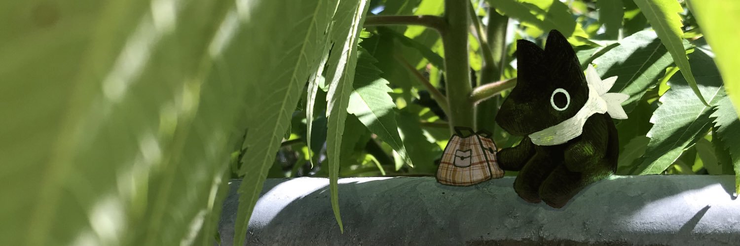 CatsTwentyTwo's profile banner image