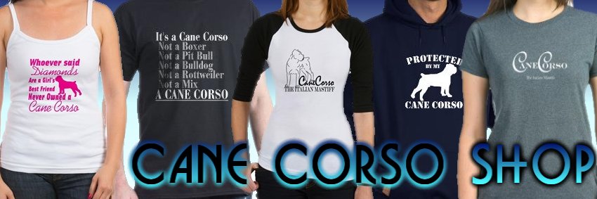 canecorsoshop's profile banner image