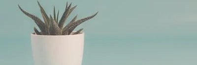 diamantvik's profile banner image
