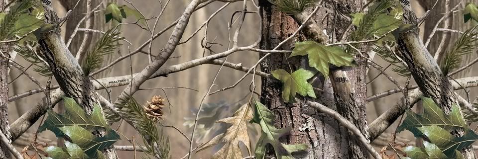 BenfordDaniel's profile banner image